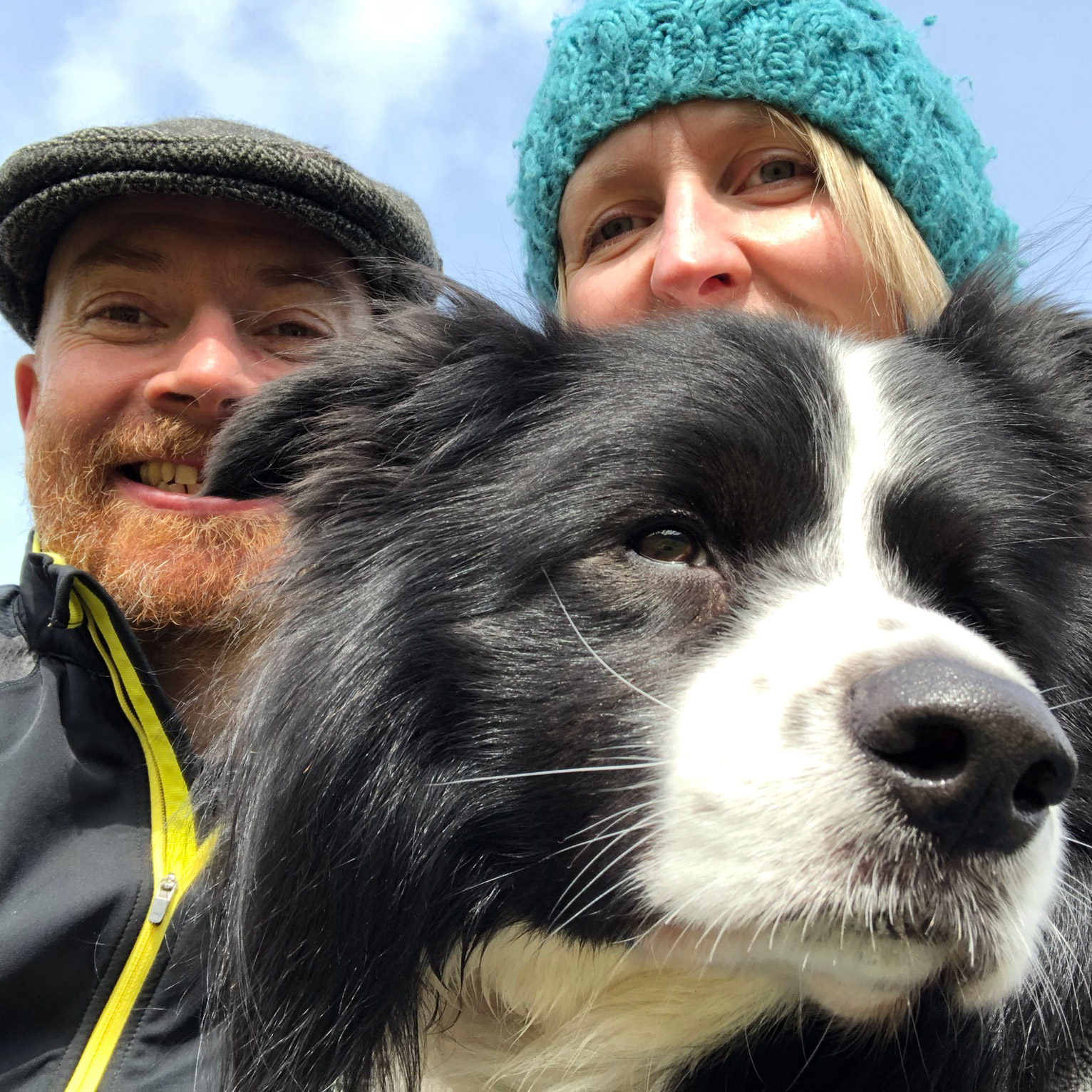 Fully Qualified Dog Boarders Ofqual L3 Furry Towers