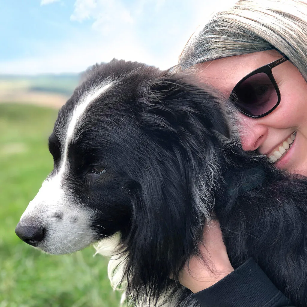 Home Dog Boarding Whitley Bay